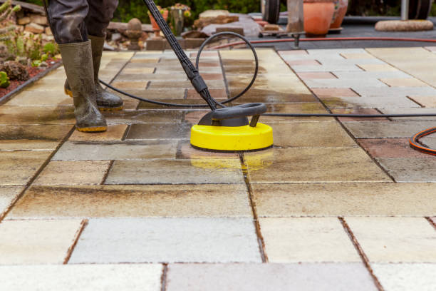 Animal Enclosure Cleaning in Myrtle Grove, NC
